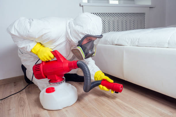 Best Bed Bug Extermination  in Congress, AZ